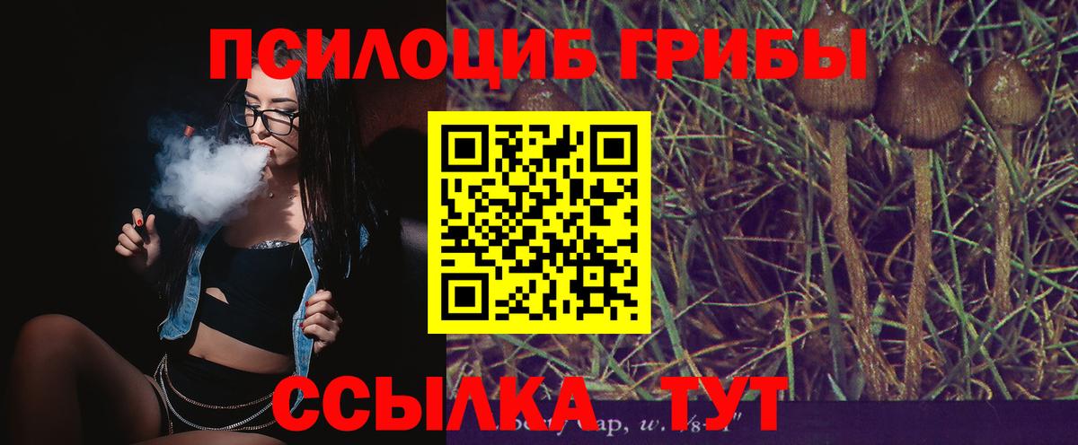 Псилоцибиновые грибы мухоморы  Галлюциногенные грибы Magic Shrooms  Вход с VPN  Краснодар 